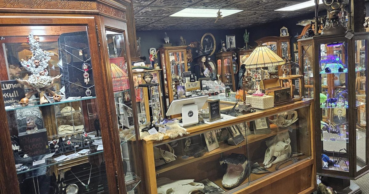 Forty Three Skulls Oddities Shoppe | Fox Cities CVB